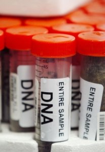 The High Court decides: police can take DNA upon arrest