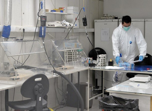 Bosnian laboratory technician works in l