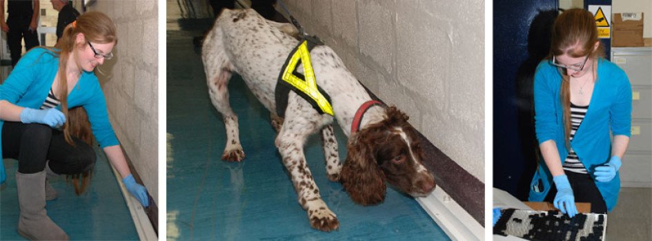 Forensic Research on making Victim Recovery Dogs more efficient